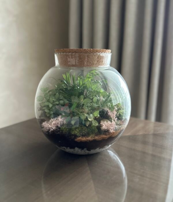 Fish Bowl